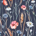 Watercolor wildflowers poppy, cornflower chamomile, rye and wheat spikelets background