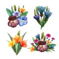 Watercolor wildflowers. Set of four cute summer bouquets of colorful meadow flowers