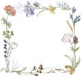 Watercolor wildflowers wreath illustration, meadow flowers frame clipart Royalty Free Stock Photo