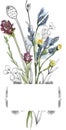 Watercolor wildflowers wreath illustration, meadow flowers frame clipart Royalty Free Stock Photo