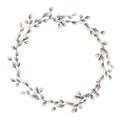 Watercolor willow wreath. Hand painted willow branch isolated on white background. Spring illustration for design, print