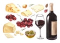 Watercolor wine and cheese. Bottle, wineglass, grapes and different cheese. Hand-drawn illustration isolated on white