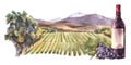 Watercolor landscape illustration. Label. Bottle of red wine with grapes in front of the vineyards Royalty Free Stock Photo