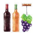 Watercolor wine set with grape and corkscrew Royalty Free Stock Photo