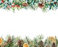 Watercolor winter banner with floral garland and spices. Hand painted eucalyptus and fir branches, berries and leaves