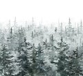 Watercolor winter banner with hand painted pine and spruce trees and on white background with space for text. Snowy forest