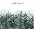 Watercolor winter pine tree forest background. Hand painted conifer spruce trees with falling snow. Nature landscape scene