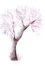 Watercolor winter bare tree