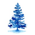 Watercolor winter blue christmas fir tree isolated on white background. Hand painting Illustration for print, texture Royalty Free Stock Photo