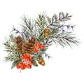 Watercolor winter bouquet with spruce branches, pine cones, acorn. Natural Christmas greeting card