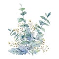 Watercolor winter eucalyptus branches and leaves and Foliage Twigs and dry flowers. Hand painted winter navy blue boho chic wild f