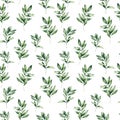 Watercolor winter eucalyptus seamless pattern. Hand painted green eucalyptus branches composition isolated on white