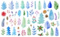 Watercolor winter evergreen plants