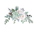 Watercolor winter floral arrangement with succulent, eucalyptus, pine branches, white flower, isolated. Pastel neutral color Royalty Free Stock Photo