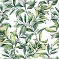 Watercolor winter floral pattern. Hand painted snowberry branch