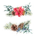 Watercolor winter floral plants on white background. Vintage style set with christmas tree branches, eucalyptus leaves Royalty Free Stock Photo