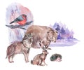 Watercolor winter forest animals. Bear, wolf, hare, hedgehog