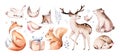 Watercolor winter forest animals deer with fawn, owl rabbits, bear birds on white background. Wild forest fox and