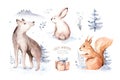 Watercolor winter forest animals deer with fawn, owl rabbits, bear, wolf birds on white background. Wild forest fox and