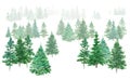 Watercolor winter forest. Christmas green trees. Spruce and holiday trees. Hand-drawn illustration. Royalty Free Stock Photo
