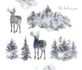 Watercolor winter forest illustration. Textured silhouette of horned reindeer and snowy pine trees, isolated on white Royalty Free Stock Photo