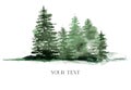 Watercolor winter green forest. Hand painted foggy fir trees illustration isolated on white background. Holiday clip art