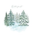 Watercolor winter landscape with trees, hand painted illustration on white background. Snowy pine and spruce tree forest Royalty Free Stock Photo