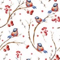 Watercolor winter natural seamless pattern of birds, tree branches, red berries Royalty Free Stock Photo