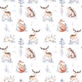 Watercolor winter pattern deer with fawn, owl rabbits, bear birds on white background. Wild forest fox and squirrel animals set.