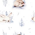 Watercolor winter pattern deer with fawn, owl rabbits, bear birds on white background. Wild forest fox and squirrel animals set.