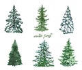 Watercolor winter pine green trees illustrations. hand painted spruce evergeen tree with snow, isolated Royalty Free Stock Photo