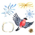 Watercolor winter set with bullfinch and elements