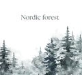 Watercolor winter spruce and pine trees wood on white background with space for text. Snowy forest landscape illustration Royalty Free Stock Photo