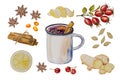 watercolor winter tea, spices, ginger, cinnamon, cardamom, lemon, star anise, white background