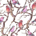 Watercolor winter vintage botanical seamless pattern, Birds twig Royalty Free Stock Photo