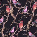 Watercolor winter vintage botanical seamless pattern, Birds twig