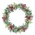 Watercolor winter wreath with hellebore flowers. Hand painted snowberry and eucalyptus branch isolated on white