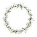 Watercolor winter wreath with juniper branch. Hand painted berries and leaves composition isolated on white background
