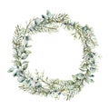 Watercolor winter wreath with juniper and eucalyptus branch. Hand painted berries and leaves composition isolated on