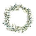 Watercolor winter wreath with juniper and eucalyptus branch. Hand painted berries and leaves composition isolated on white