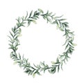 Watercolor winter wreath with lambs ears branch. Hand painted green woolly hedgenettle leaves composition isolated on