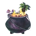 Watercolor Witch Cauldron with mandragora plant and toxic mushrooms. Hand painted illustration of Caldron with fire for