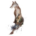 Watercolor wolf illustration wild forest animal with double exposure effect