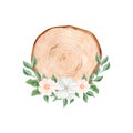 Watercolor wood slice with flower Illustration Royalty Free Stock Photo