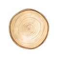 Watercolor wood slice illustration. Hand painted wooden texture board isolated on white background. Tree rings. Rustic Royalty Free Stock Photo