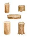 Watercolor wood stumps set. Hand drawn tree stubs, wooden slice isolated on white. Rustic decoration, natural eco style