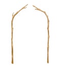Watercolor Wood Wedding Arch. Hand Drawn Bare Tree Branches Isolated On White. Wooden Twigs Decoration, Rustic Natural