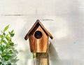 Watercolor of of wooden birdhouse construction materials