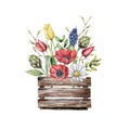 Watercolor wooden box with spring flowers. Hand painted anemones, chamomile, tulips, hyacinths, artichokes isolated on