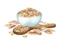 Watercolor wooden spoon and bowl of oats surrounded by cereals.
